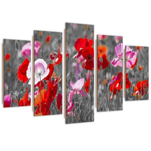 Deco Panel, Maki na wiosennej łące, 5-częściowy - 100x70