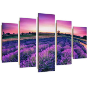 Deco Panel, Lawendowe pole, 5-częściowy - 200x100