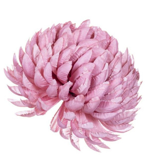 Chryzantema ananas mauve jesienny