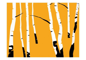 Fototapeta - Birches on the orange background [Rozmiar: 350X270]