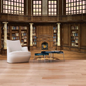 Fototapeta - Biblioteka marzeń [Rozmiar: 350X245]