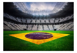 Fototapeta - Brazylijski stadion [Rozmiar: 300X210]