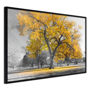 Plakat - Złote drzewo [Rozmiar: 90X60,