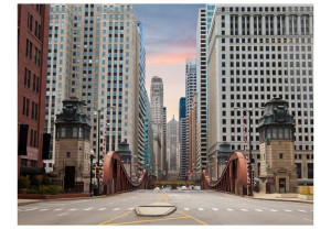 Fototapeta - Chicago street [Rozmiar: 350X270]