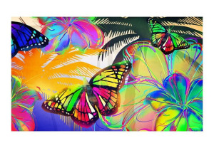 Fototapeta - Butterflies in the stomach [Rozmiar: 450X270]
