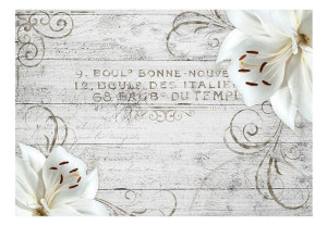 Fototapeta - Bonne Nouvelle [Rozmiar: 350X245]
