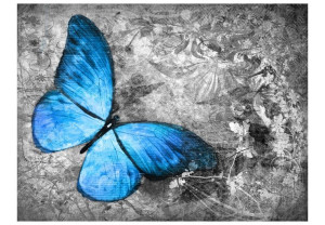 Fototapeta - Blue butterfly [Rozmiar: 350X270]