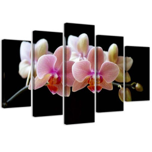 OBRAZ 5 częściowy Różowa Orchidea 100x70