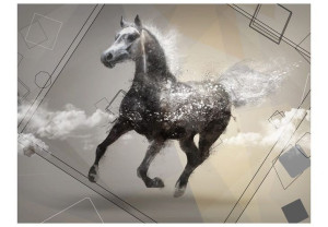 Fototapeta - Escape into dreams [Rozmiar: 350X270]