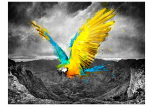 Fototapeta - Exotic parrot [Rozmiar: 350X270]