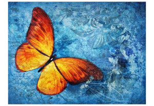 Fototapeta - Fiery butterfly [Rozmiar: 350X270]