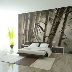 Fototapeta - Fog and bamboo forest [Rozmiar: 450X270]
