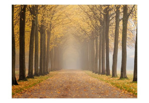Fototapeta - Journey to the unknown [Rozmiar: 400X309]