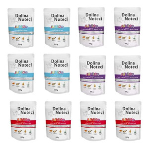 Pakiet Dolina Noteci Premium Junior Mix Smaków 12 x 300 g