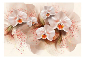 Fototapeta - Herbaciane orchidee [Rozmiar: 300X210]