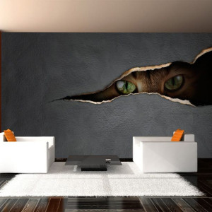 Fototapeta - Kocie spojrzenie [Rozmiar: 450X270]