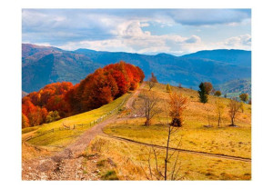 Fototapeta - Kolorowy jesienny pejzaż, Karpaty [Rozmiar: 300X231]