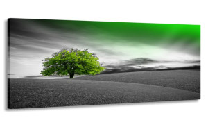 Obraz Panorama Szary Zielony 100x40 Na Płótnie