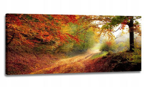 Obraz Las Jesień Panorama 120x50 Obrazy Na Płótnie