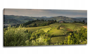 Obraz Pole Łąka Panorama 120x50 Obrazy Na Płótnie