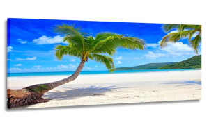 Obraz Panorama Palmy Plaża 120x50 Na Płótnie