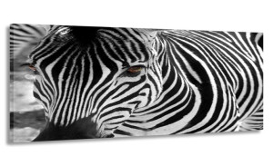Obraz Panorama Zebra 120x50 Na Płótnie