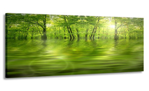 Obraz Panorama Zielony Las 120x50 Na Płótnie