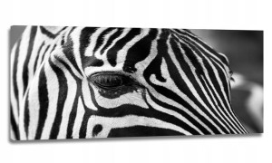 Obraz Led Lampka Kinkiet 120x50 - Zebra Paski