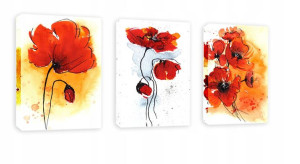Obraz 120x60 Komplet 3el Maki Kwiaty