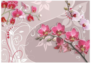 Fototapeta - Lot różowych orchidei [Rozmiar: 300X210]