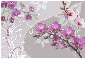 Fototapeta - Lot purpurowych orchidei [Rozmiar: 350X245]