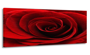 Obraz Panorama Kwiaty Róża 150x60 Do Salonu