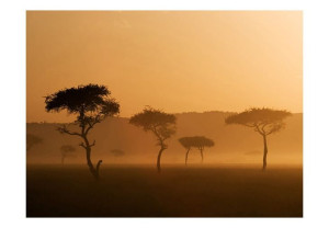 Fototapeta - Massai Mara [Rozmiar: 300X231]