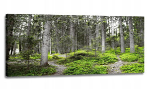 Obraz Szary Las Panorama 170x70 Obrazy Na Płótnie