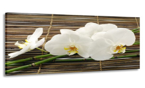 Obraz 170x70 Orchidea Bambusy Wielki Do Salonu