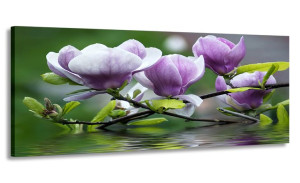 Obraz 170x70 Kwiaty Magnolie Wielki Do Salonu