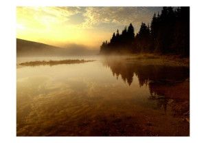 Fototapeta - Las i jezioro [Rozmiar: 400X309]