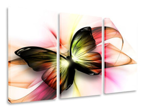 Obraz Tryptyk Motyl Tryptyki 90x50