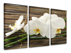 Obraz Tryptyk Orchidea Bambusy Tryptyki 90x50