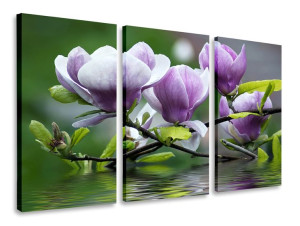 Obraz Tryptyk Kwiaty Magnolie Tryptyki 90x50