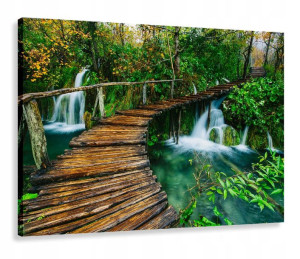 Obraz Do Salonu Pomost Kładka Las 120x80