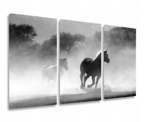 Obraz Konie Koń Galop Obrazy Tryptyk 120x80