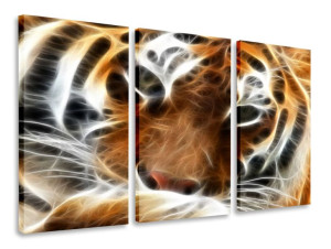 Obraz Tryptyk Tygrys Tryptyki 120x80
