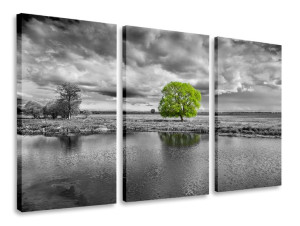 Obraz Tryptyk Widok Widoki Tryptyki 120x80
