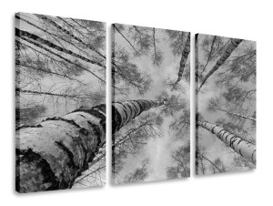 Obraz Tryptyk Drzewo Tryptyki 120x80