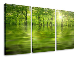 Obraz Tryptyk Zielony Las Tryptyki 120x80