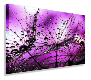 OBRAZ DMUCHAWCE FIOLETOWY 120x80 do salonu