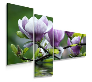 Obraz Tryptyk 150x100 Kwiaty Magnolie Nowoczesny