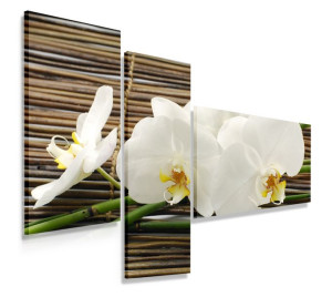 Obraz Tryptyk 150x100 Orchidea Bambusy Nowoczesny