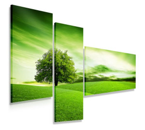 Obraz Tryptyk 150x100 Zielone Pole Nowoczesny